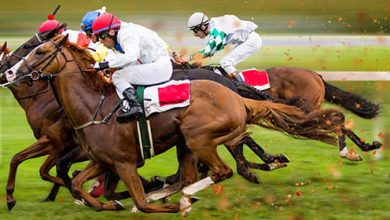 How Bookmaker Websites Can Help Streamline Horse Betting